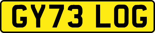 GY73LOG