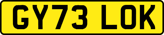 GY73LOK