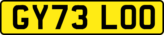 GY73LOO
