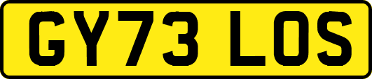 GY73LOS