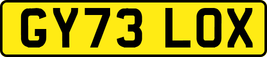 GY73LOX