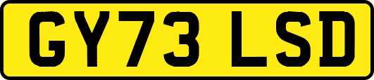 GY73LSD