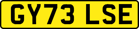 GY73LSE
