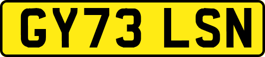 GY73LSN