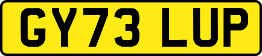 GY73LUP