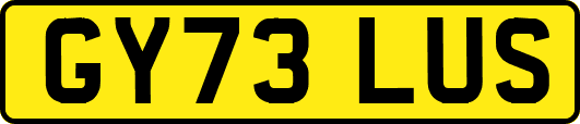 GY73LUS