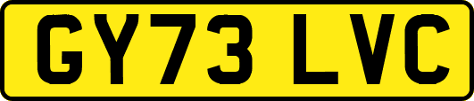 GY73LVC