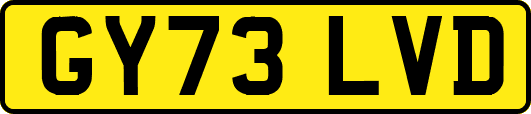 GY73LVD