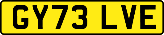 GY73LVE