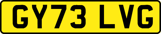 GY73LVG