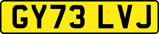 GY73LVJ