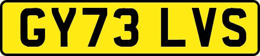 GY73LVS