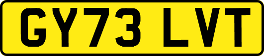 GY73LVT