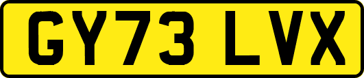 GY73LVX