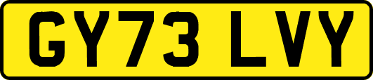 GY73LVY