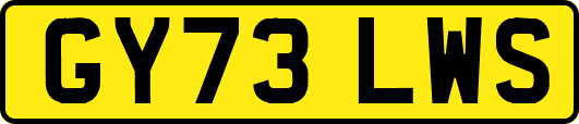 GY73LWS