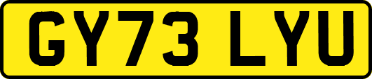 GY73LYU