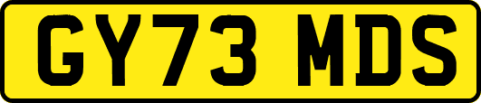 GY73MDS