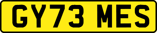 GY73MES