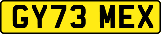 GY73MEX