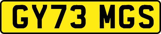 GY73MGS