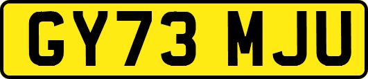 GY73MJU