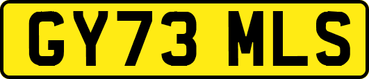 GY73MLS