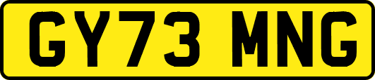 GY73MNG