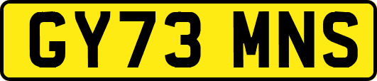 GY73MNS