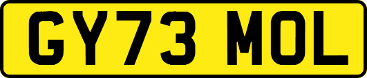 GY73MOL