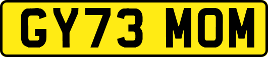 GY73MOM