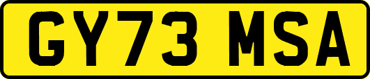 GY73MSA