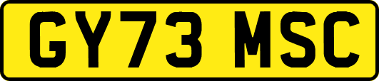 GY73MSC