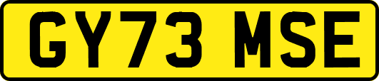 GY73MSE