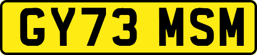 GY73MSM