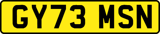 GY73MSN