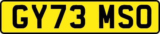 GY73MSO