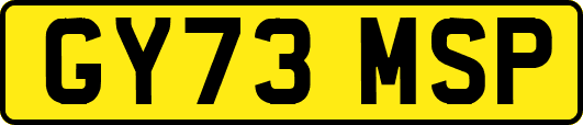 GY73MSP