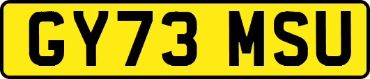 GY73MSU