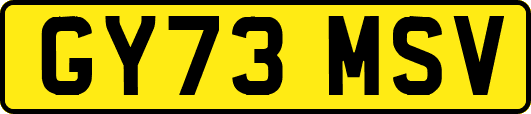GY73MSV