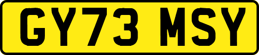 GY73MSY