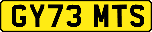 GY73MTS
