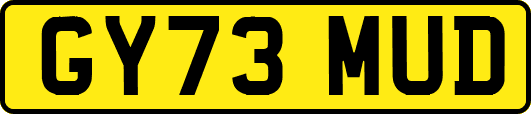 GY73MUD