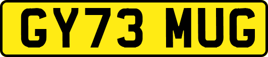 GY73MUG