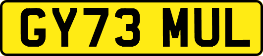 GY73MUL