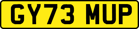GY73MUP