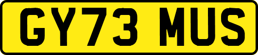 GY73MUS