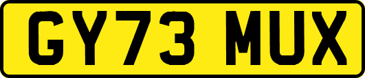 GY73MUX