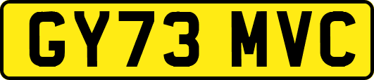 GY73MVC
