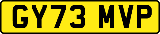 GY73MVP